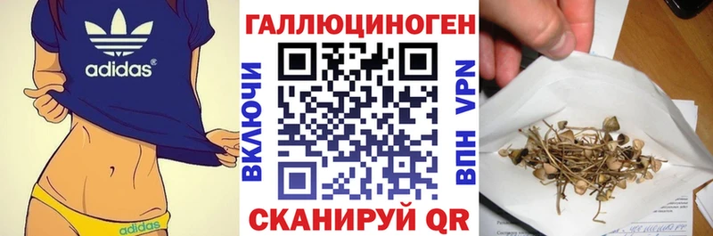 закладки  Биробиджан  Галлюциногенные грибы Magic Shrooms 