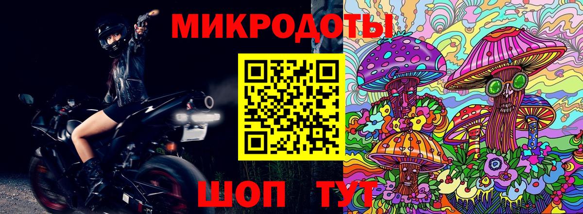 Галлюциногенные грибы Psilocybine cubensis Биробиджан