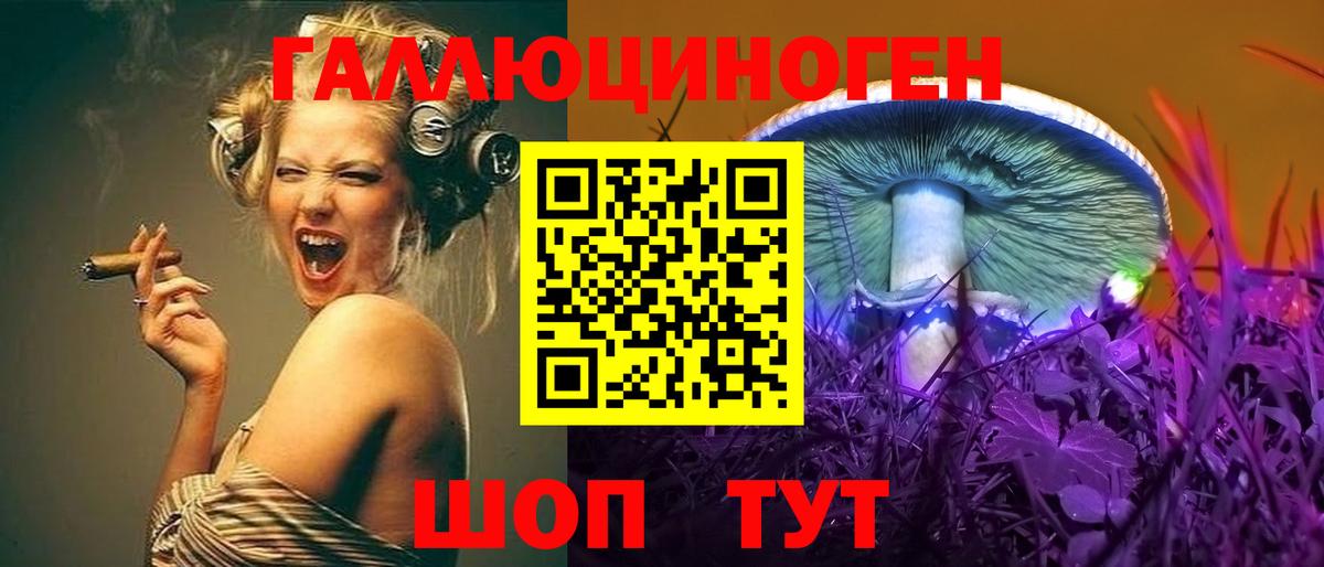 Биробиджан  Псилоцибиновые грибы прущие грибы  Вход с VPN 
